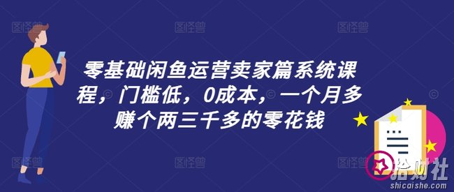 零基础闲鱼运营卖家篇系统课程，门槛低，0成本，一个月多赚个两三千多的零花钱