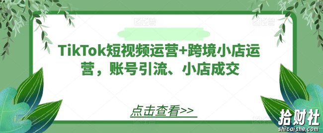 TikTok短视频运营+跨境小店运营,账号引流、小店成交