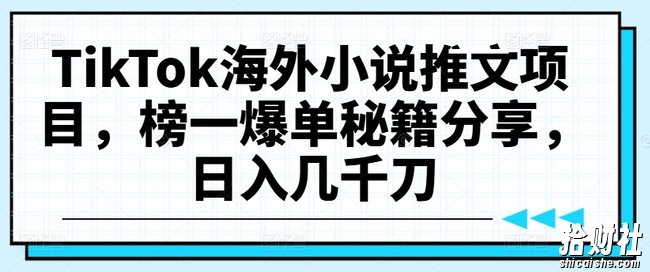 TikTok海外小说推文项目，榜一爆单秘籍分享，日入几千刀