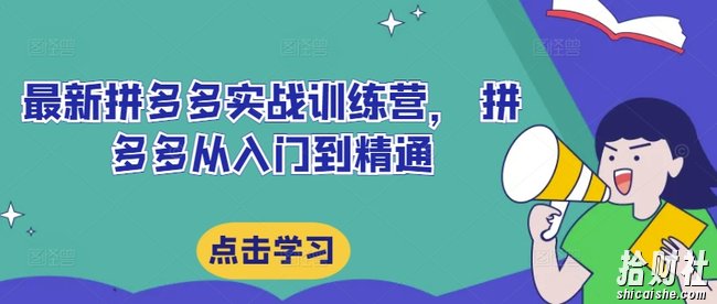 最新拼多多实战训练营， 拼多多从入门到精通