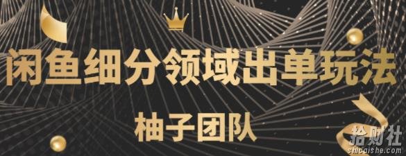 闲鱼细分领域暴力出单玩法，低成本轻松做到单号月入5000+【视频教程】