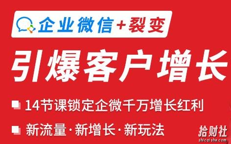 企业微信裂变增长实战课:企业微信+裂变,搞定企业微信千万增长