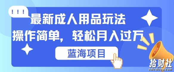 最新成人用品项目玩法,操作简单,动动手,轻松日入几张【揭秘】