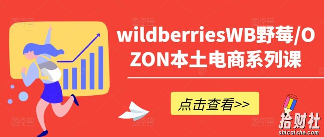 wildberriesWB野莓/OZON本土电商系列课,掌握WB产品优化,出单技巧和订单处理等