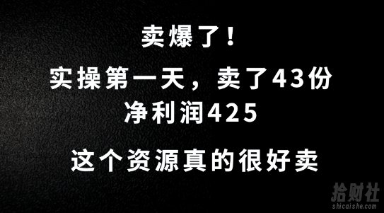 这个资源，需求很大，实操第一天卖了43份，净利润425【揭秘】