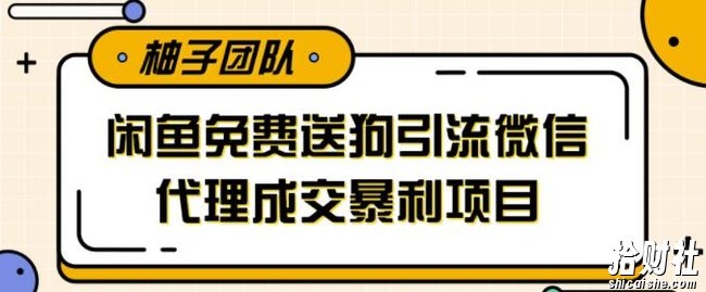 利用闲鱼免费送暴力吸粉，引流到微信代理成交暴利项目【视频课程】