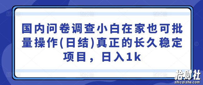 国内问卷调查小白在家也可批量操作(日结)真正的长久稳定项目,日入1k【揭秘】