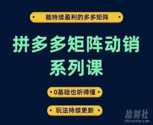 拼多多矩阵动销系列课,能持续盈利的多多矩阵,0基础也听得懂,玩法持续更新