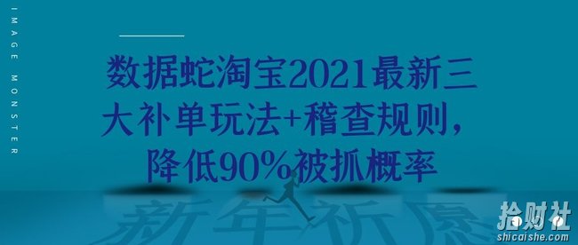 数据蛇淘宝2021最新三大补单玩法+稽查规则，降低90%被抓概率