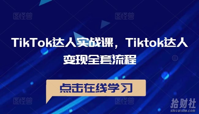 TikTok达人实战课,Tiktok达人变现全套流程