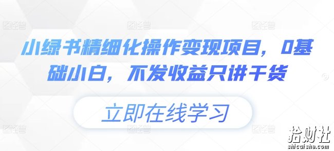 小绿书精细化操作变现项目，0基础小白，不发收益只讲干货