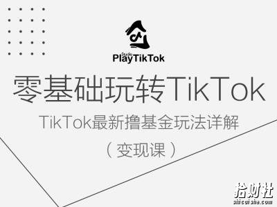 零基础玩转TiKToK变现课，TikTok最新撸基金玩法详解