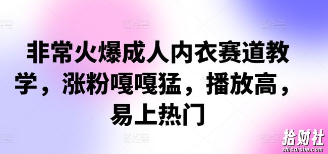 非常火爆成人内衣赛道教学，涨粉嘎嘎猛，播放高，易上热门