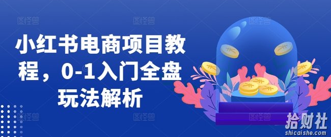 小红书电商项目教程，0-1入门全盘玩法解析