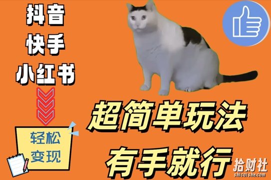 超简单玩法,有手就行,靠猫咪视频日入500+【揭秘】