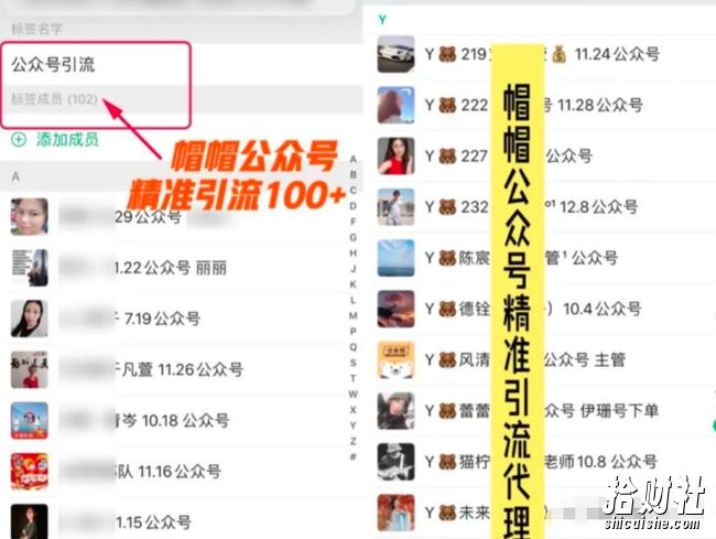 7天玩转微信公众号被动引流系统，日引100+精准流量【视频课程】