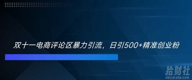 双十一电商评论区暴力引流,日引500+精准创业粉【揭秘】
