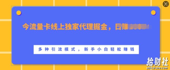 流量卡线上独家代理掘金，日入1k+ ，多种引流模式，新手小白轻松上手【揭秘】
