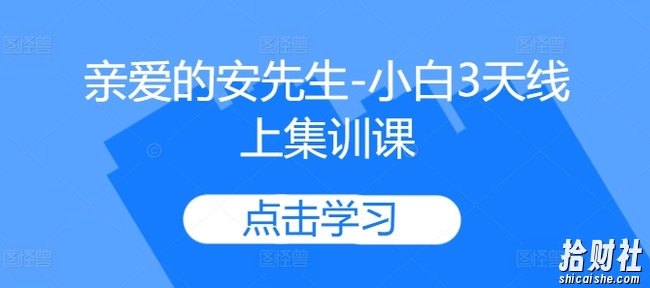 亲爱的安先生-小白3天线上集训课