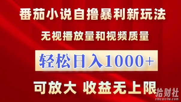 番茄小说自撸暴利新玩法,无视播放量,轻松日入1k,可放大,收益无上限【揭秘】