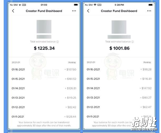 龟课TikTok变现实战训练营线上第2期：日入上百+美刀，月收益上万不成问题