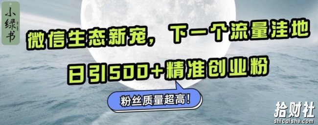 微信生态新宠小绿书：下一个流量洼地，日引500+精准创业粉，粉丝质量超高