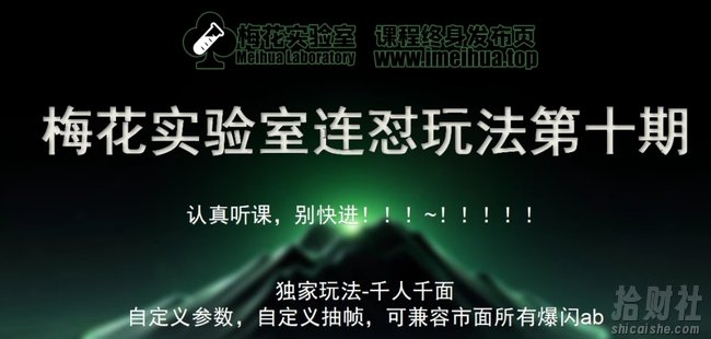 梅花实验室社群专享课视频号连怼玩法第十期课程+第二部分-FF助手全新高自由万能爆闪AB处理