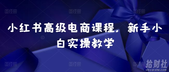 小红书高级电商课程,新手小白实操教学