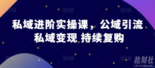 私域进阶实操课，公域引流 私域变现 持续复购