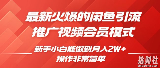 闲鱼引流推广影视会员，0成本就可以操作，新手小白月入过W+【揭秘】