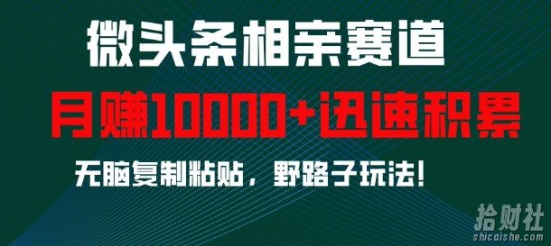 微头条相亲赛道，迅速积累，无脑复制粘贴，野路子玩法，月入1w