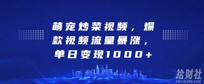 萌宠炒菜视频，爆款视频流量暴涨，单日变现1k