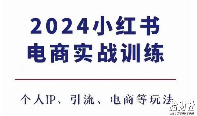 2024小红书电商3.0实战训练，包含个人IP、引流、电商等玩法