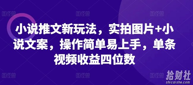 小说推文新玩法，实拍图片+小说文案，操作简单易上手，单条视频收益四位数