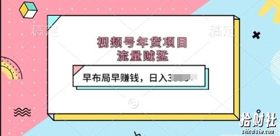 视频号年货项目,流量贼猛,早布局早挣钱,日入上k【揭秘】