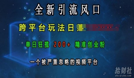 全新引流风口，跨平台玩法日入上k，单日狂揽200+精准创业粉，一个被严重忽略的视频平台