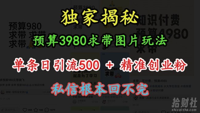 预算3980求带 图片玩法,单条日引流500+精准创业粉,私信根本回不完