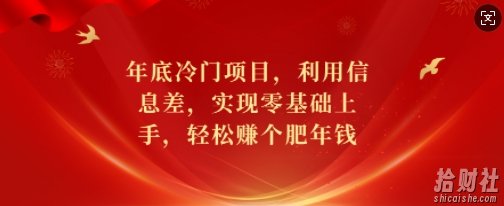年底冷门项目，利用信息差，实现零基础上手，轻松赚个肥年钱【揭秘】