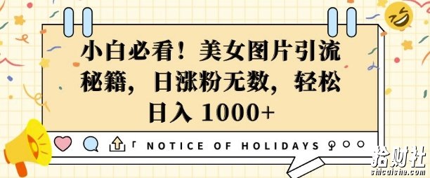 小白必看，美女图片引流秘籍，日涨粉无数，轻松日入几张【揭秘】
