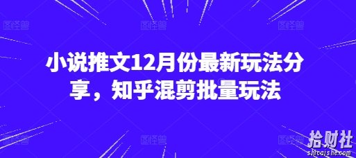 小说推文12月份最新玩法分享，知乎混剪批量玩法