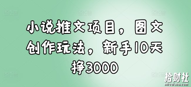 小说推文项目，图文创作玩法，新手10天挣3000
