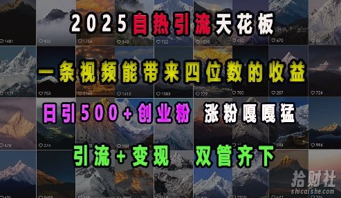 2025自热引流天花板,一条视频能带来四位数的收益,引流+变现双管齐下,日引500+创业粉,涨粉嘎嘎猛