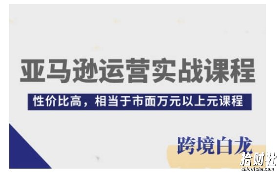 亚马逊运营实战课程,亚马逊从入门到精通,性价比高,相当于市面万元以上元课程