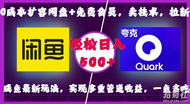0成本扩容网盘+免费会员，卖技术，拉新，咸鱼最新玩法，实现多重管道收益，一鱼多吃，轻松日入500+
