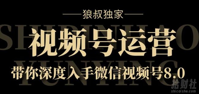 狼叔独家：视频号运营实战课8.0，带你深度入手微信视频号