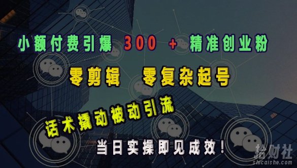小额付费引爆 300 + 精准创业粉，零剪辑、零复杂起号，话术撬动被动引流，当日实操即见成效