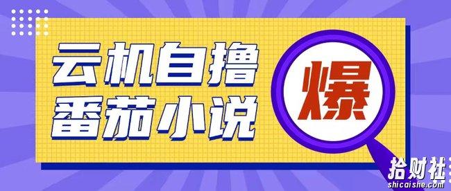首发云手机自撸小说玩法，10块钱成本可撸200+收益操作简单【揭秘】