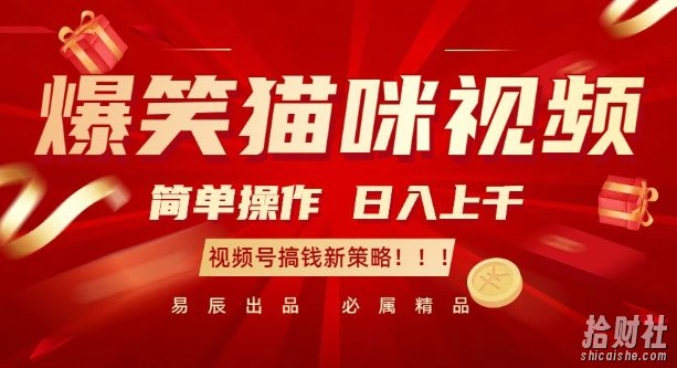 爆笑猫咪视频:简单操作,日入过K,视频号搞钱新策略【揭秘】
