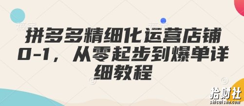拼多多精细化运营店铺0-1，从零起步到爆单详细教程