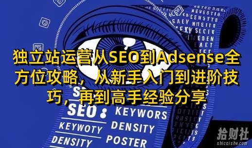 独立站运营从SEO到Adsense全方位攻略，从新手入门到进阶技巧，再到高手经验分享